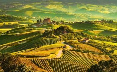🌿Dwa dni w sercu Toskanii - Siena, Florencja, Piza