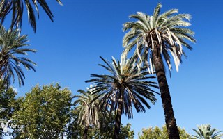 Palermo - Dzień Na Sycylii